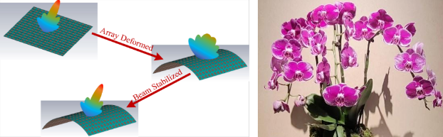 909318ce-6320-443f-9943-ed363f989f0c.png 909318ce-6320-443f-9943-ed363f989f0c.png