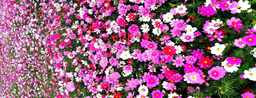 714dc66a-a365-4a38-b08f-22d3681c2ffe.png 714dc66a-a365-4a38-b08f-22d3681c2ffe.png