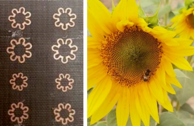 4c64ece3-89a6-4c25-9fb6-ed9ef2a2f591.png 4c64ece3-89a6-4c25-9fb6-ed9ef2a2f591.png